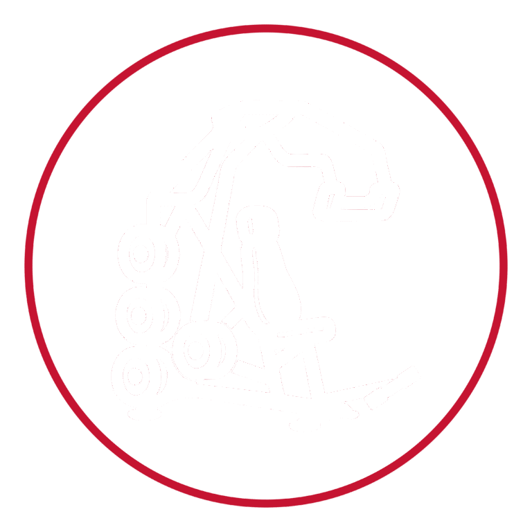 MÁQUINAS DE FUERZA (1)